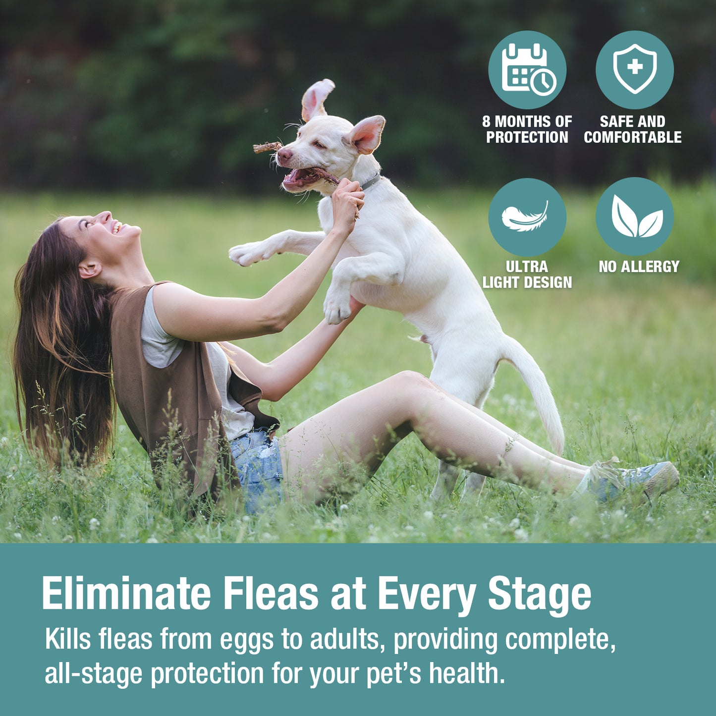 ZingZap Flea & Tick Collar 2-Pack Plant-Based for Dogs & Cats
