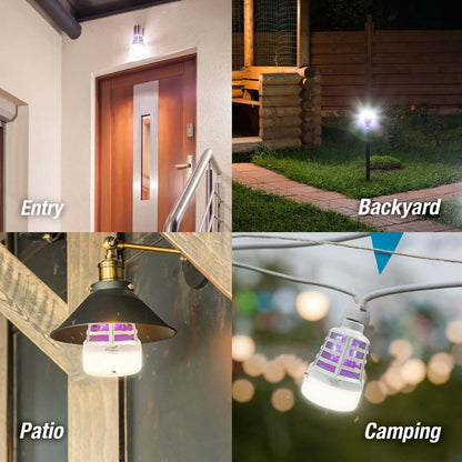 Bulb
