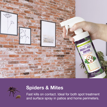 All-Purpose Home Insect Spray 16 oz