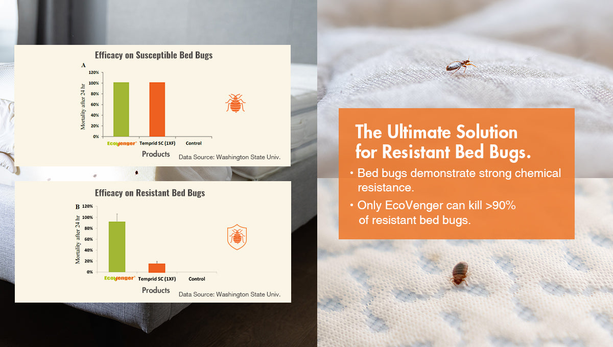 Bed Bug Killer with Remote Sprayer 1 Gallon - Kills 100% All Stages on Contact- Kills Resistant Bugs- Kills Eggs- 14 Day Residual Protection- Non-Toxic- Child & Pet Friendly