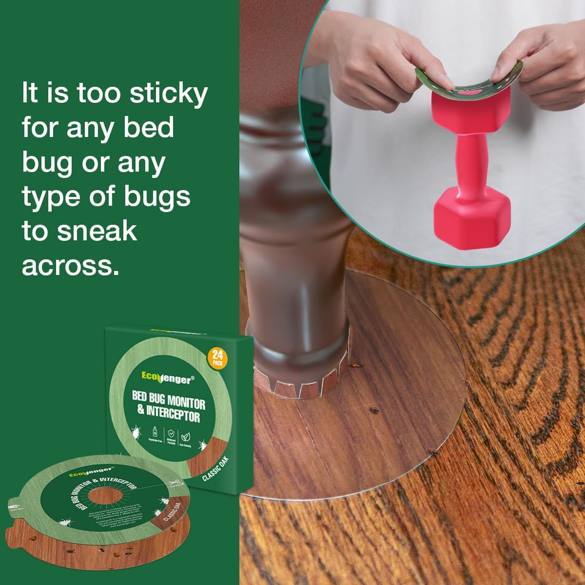 EcoVenger Bed Bug Killer 1 Gal & Monitors & Interceptors 24 Packs