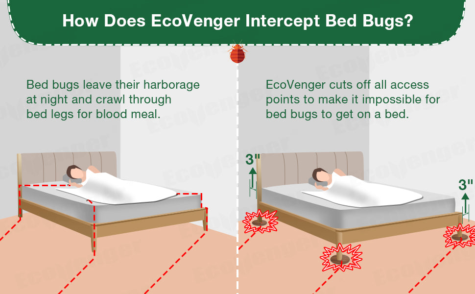 EcoVenger Bed Bug Killer 1 Gal & Monitors & Interceptors 24 Packs