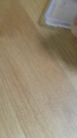 Bed Bug Killer