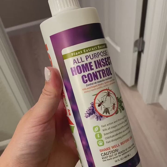 Home Insect Control