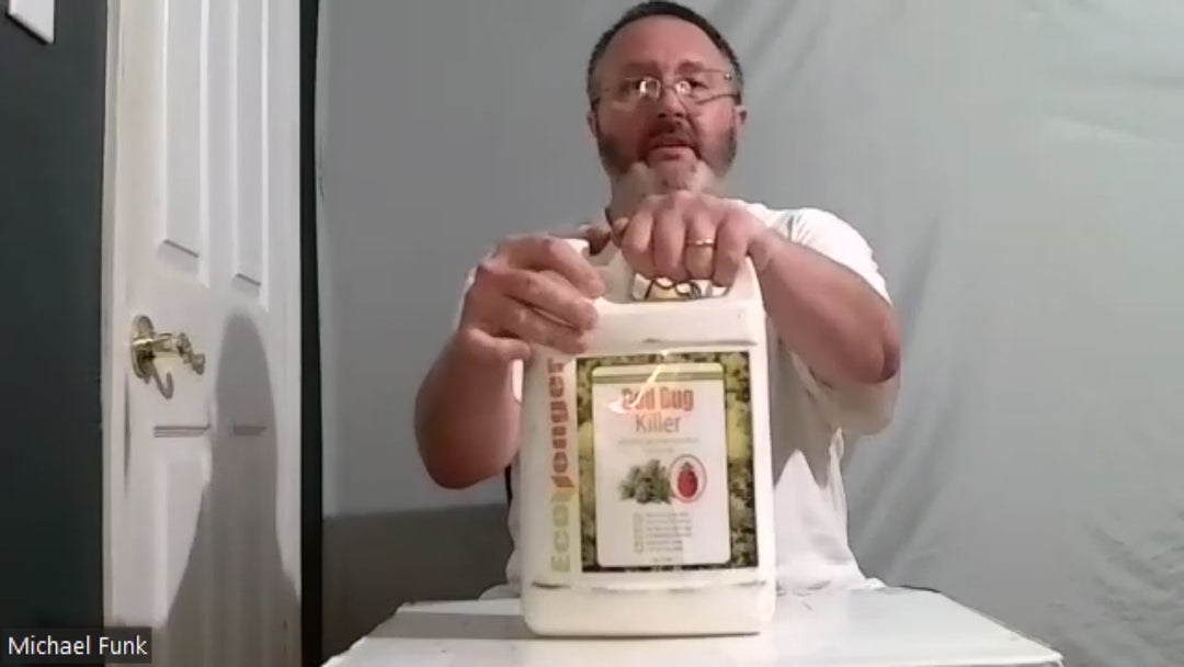 Bed Bug Killer