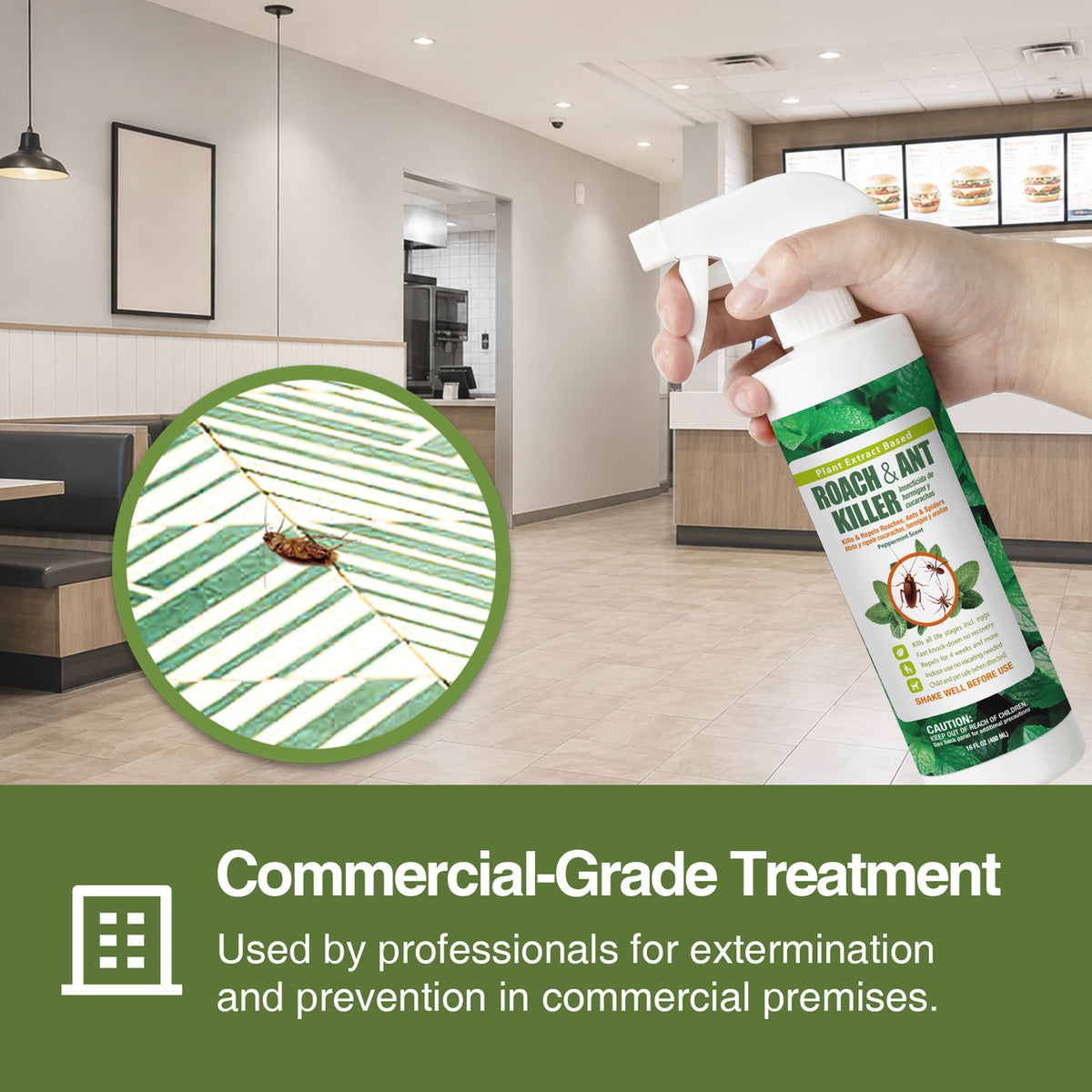 Roach Killer and Repellent Spray 16 oz
