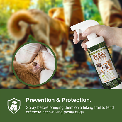 Flea & Tick Removal Spray 16 oz for Dogs and Cats