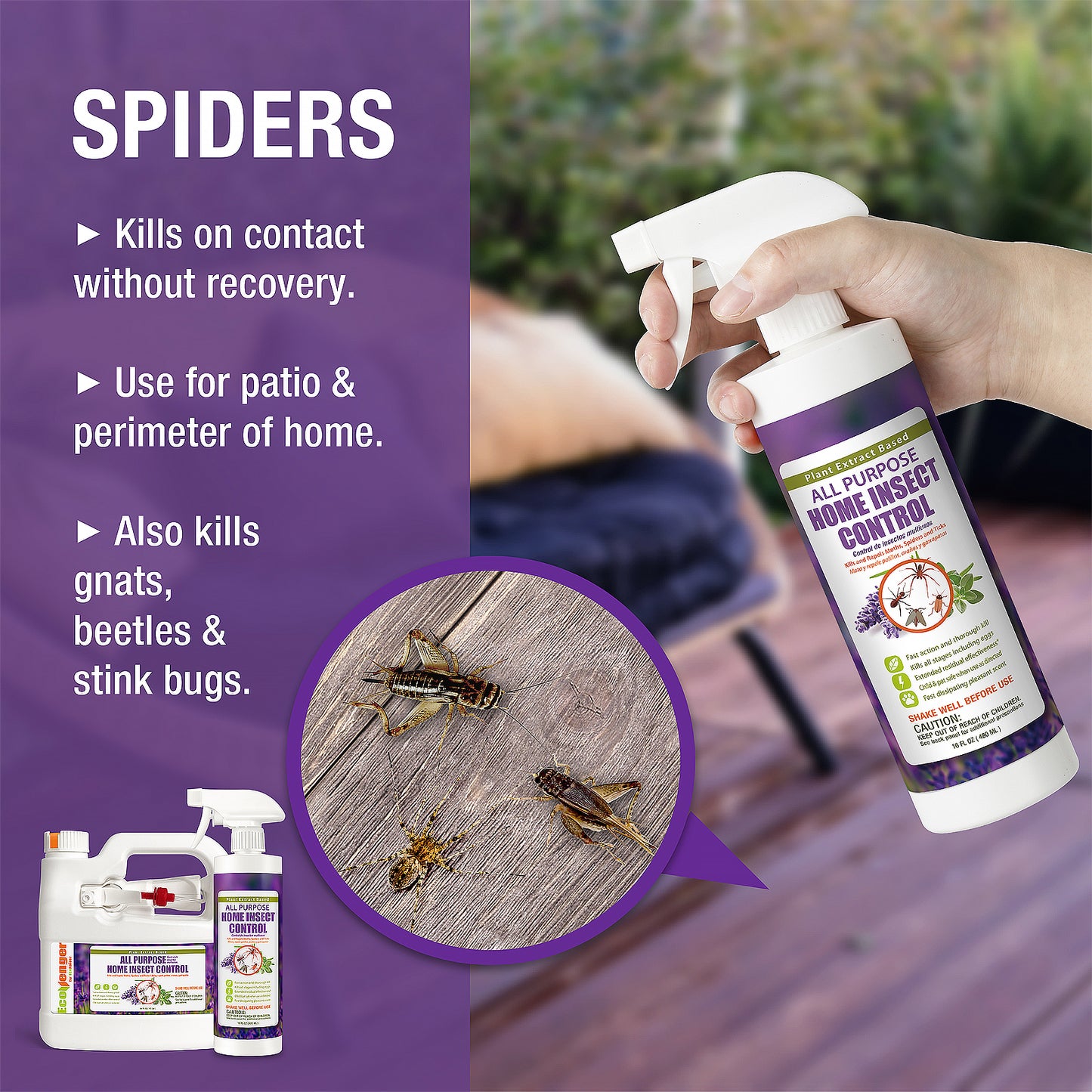 All Purpose Home Insect Control 16 OZ