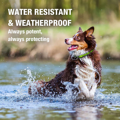 Ecovenger Flea & Tick Collar Repellent 2-Pack