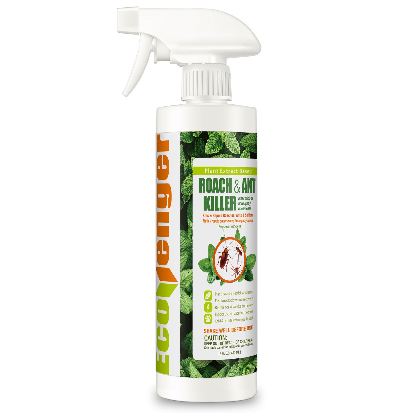 Roach & Ant Killer 16 OZ