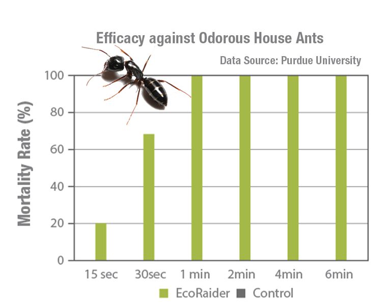 EcoVenger Ant Killer Efficacy Against Odorous House Ants