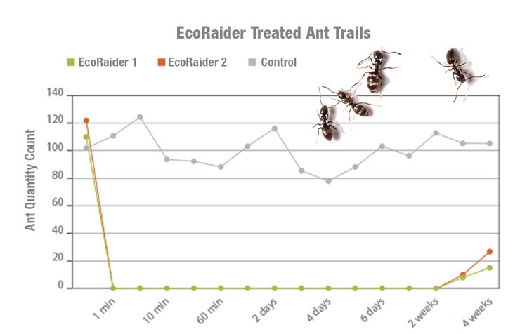 EcoVenger Ant Killer - Treated Ant Trails