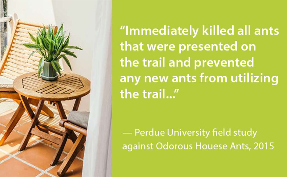 EcoVenger Ant Killer - Quote
