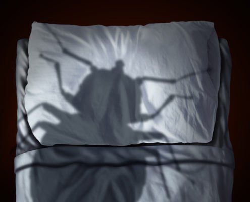 avoid bed bugs
