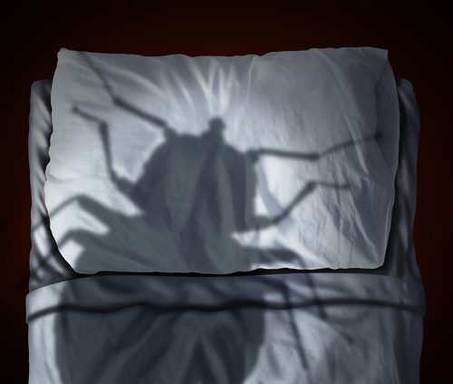 avoid bed bugs