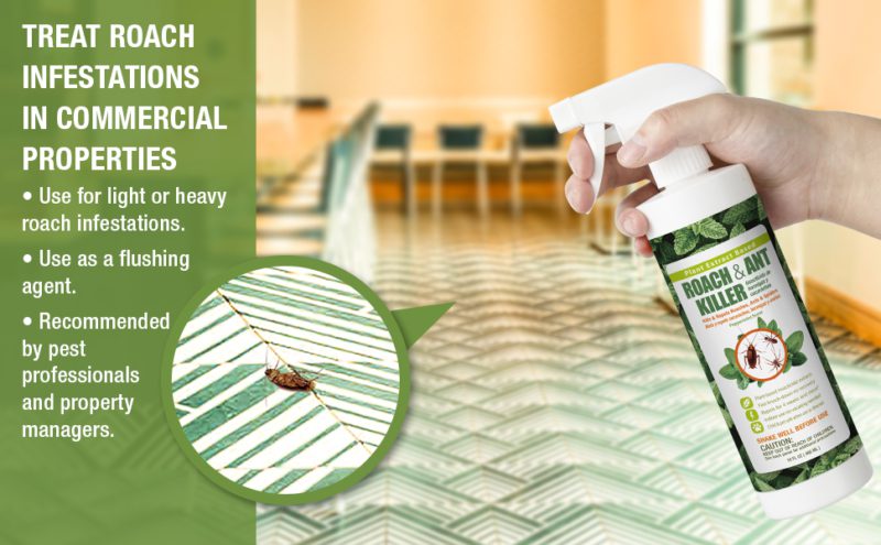 treat roach infestations in commercial properties