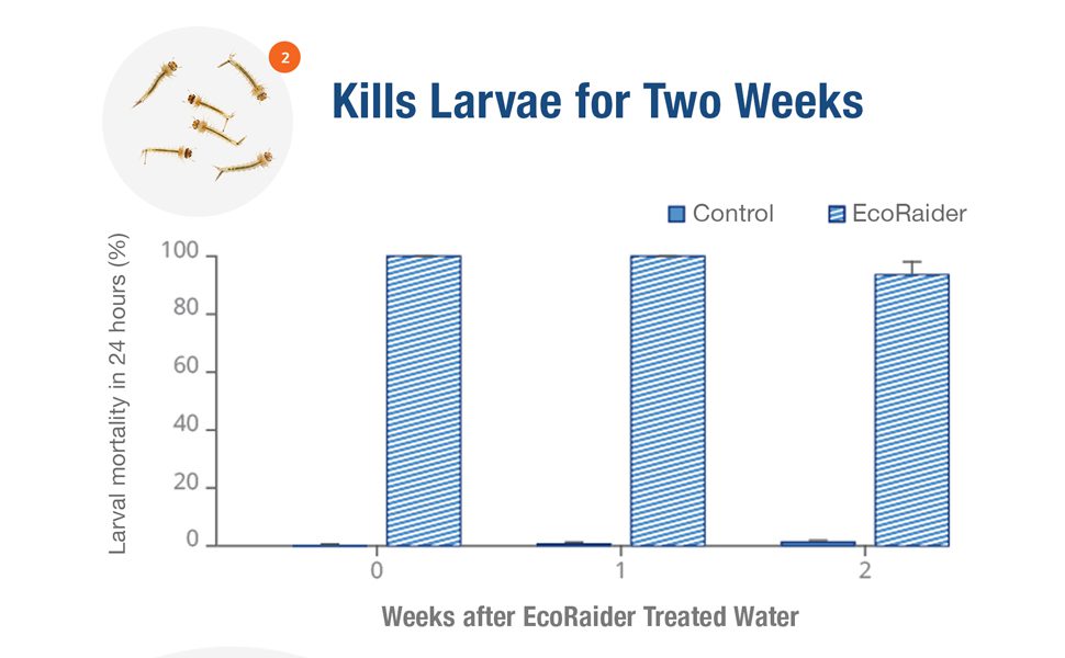 EcoVenger Kills Larvae for Two Weeks
