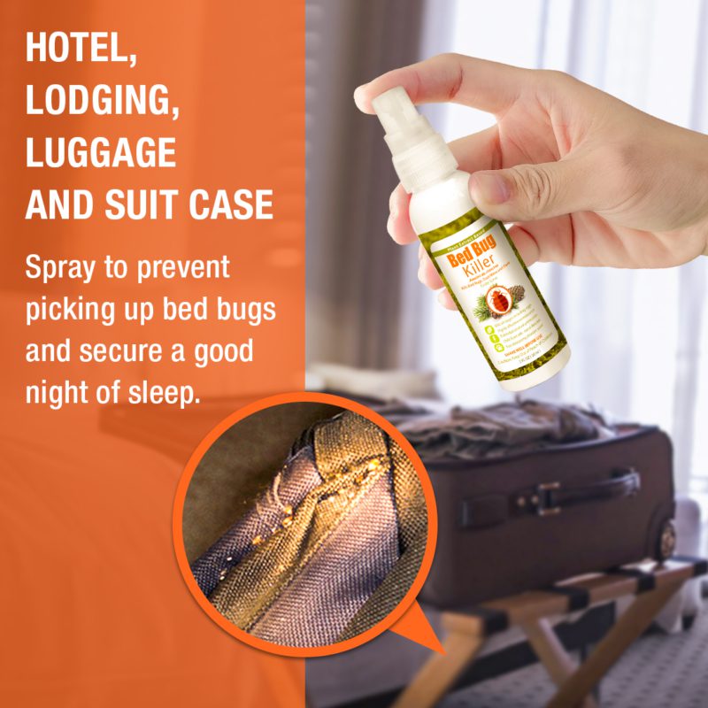 Study ID's Several Bed Bug Repellents That Could Keep Your Luggage Pest-Free
